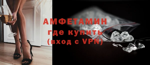 стаф Балахна