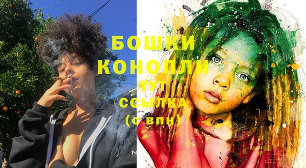 стаф Балахна