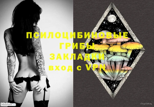 ECSTASY Баксан