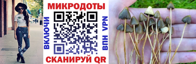 Псилоцибиновые грибы MAGIC MUSHROOMS  Муравленко 